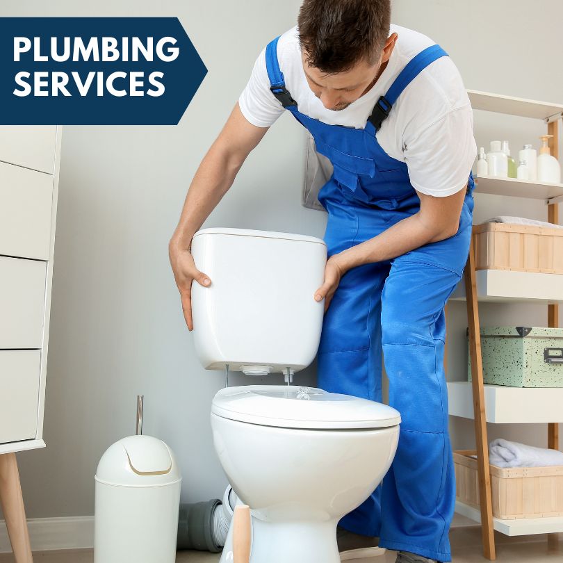 Plumbing Company in Darwin, MN